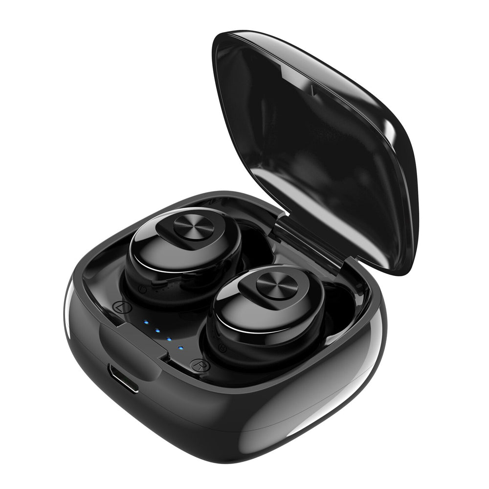 Cranberry USA Cranberry Kilburn CR8466